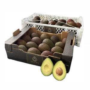 Aguacate hass - Perú