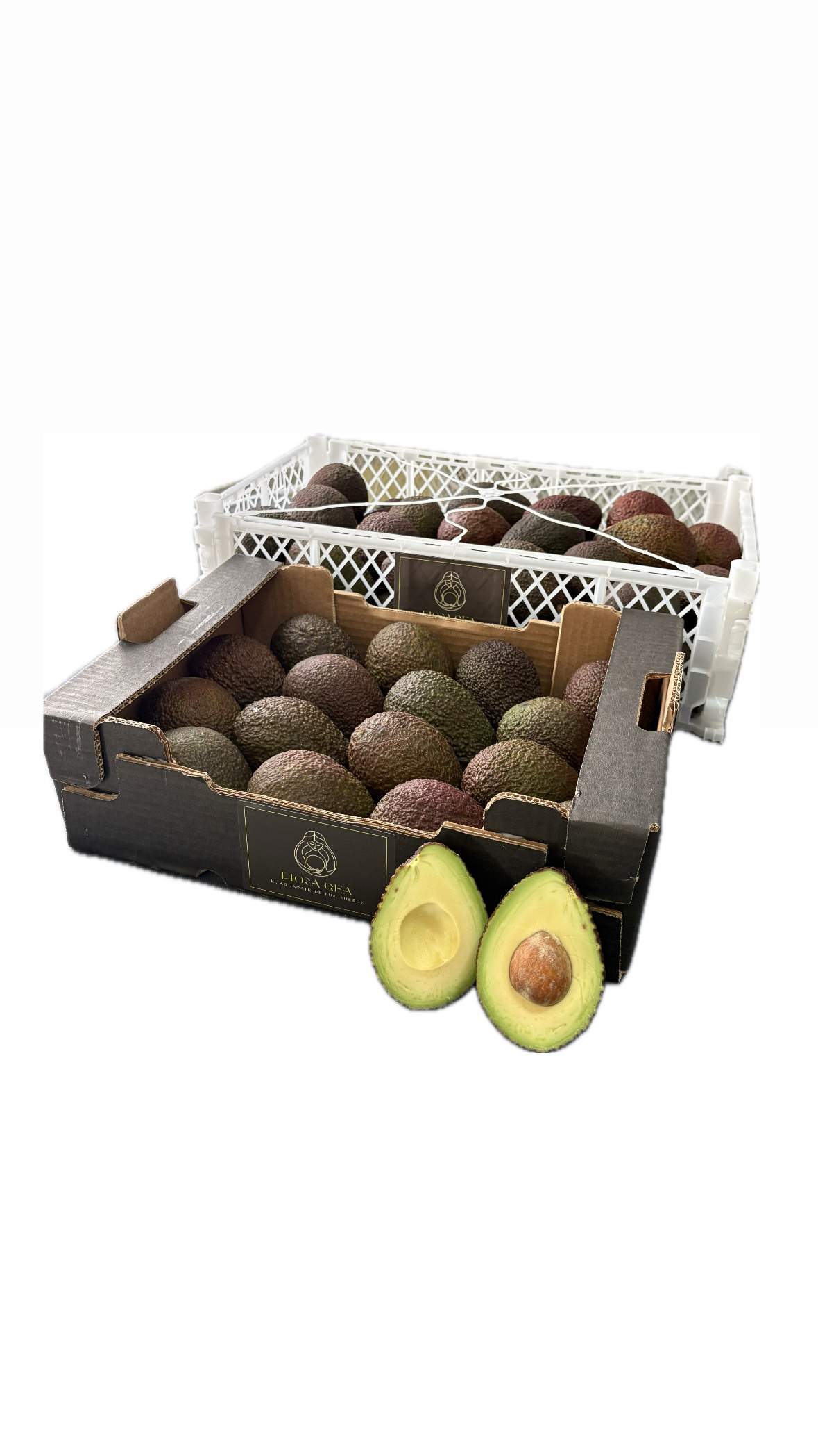 Aguacate hass - Perú