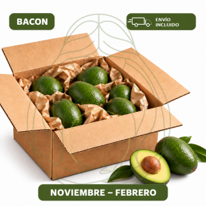 Pack 4kg aguacate bacon - Envío gratis