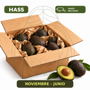 Pack 4kg aguacate hass - Envío gratis